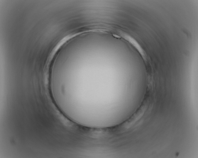 X0000114061099200910191455