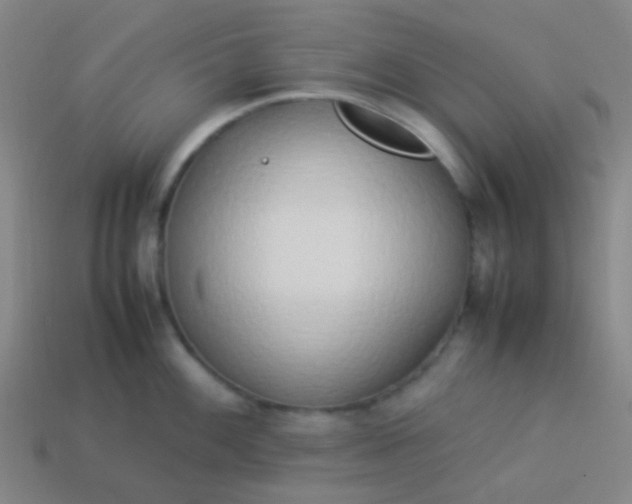 X0000114061100200910191455