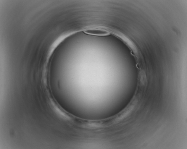 X0000114061102200910191455