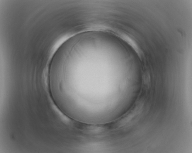 X0000114061103200910191455