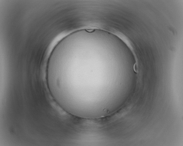 X0000114061104200910191455