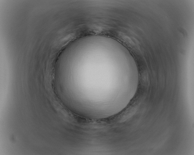 X0000114061105200910191455