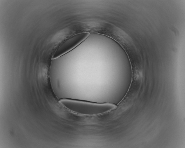 X0000114061108200910191455