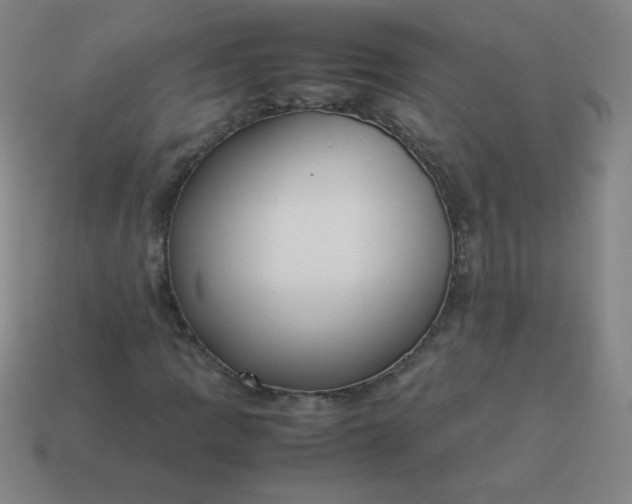 X0000114061109200910191455