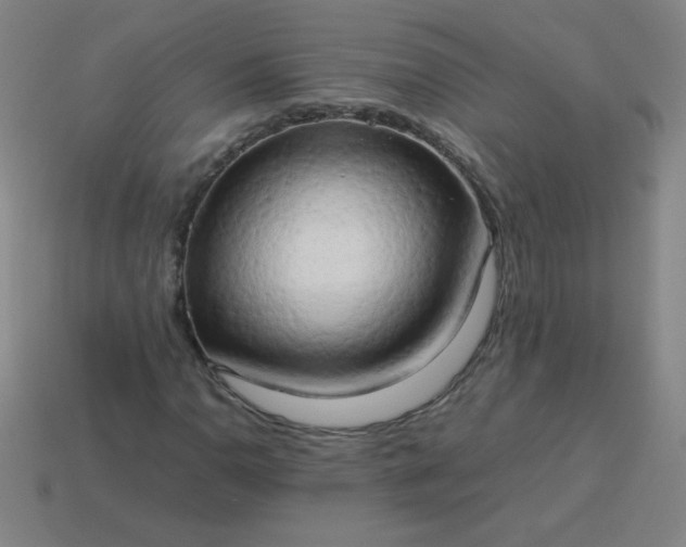 X0000114061110200910191455