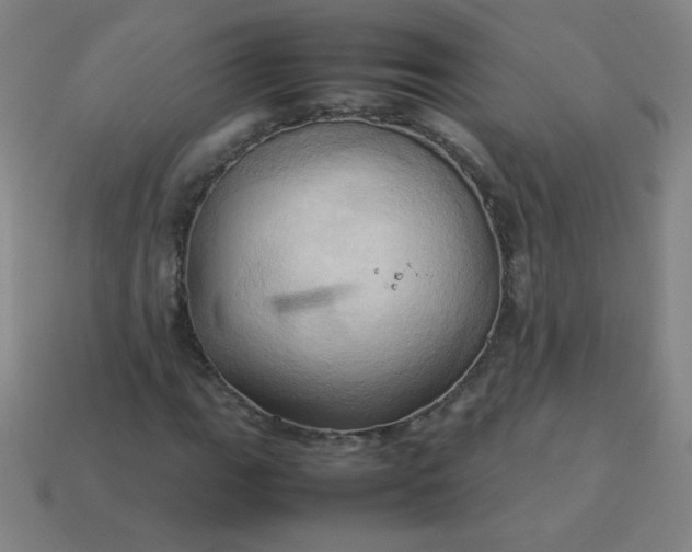 X0000114061111200910191455