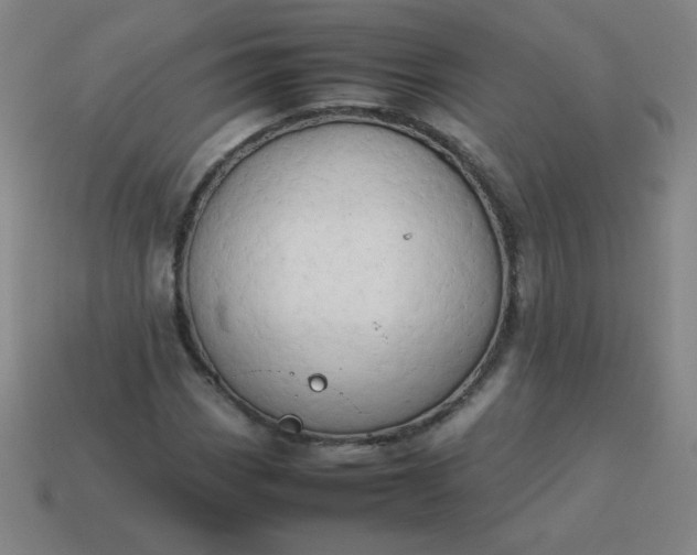 X0000114061113200910191455