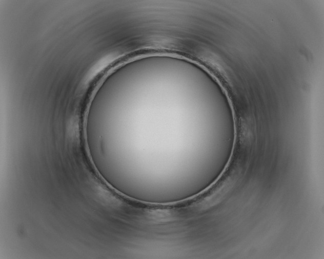 X0000114061114200910191455