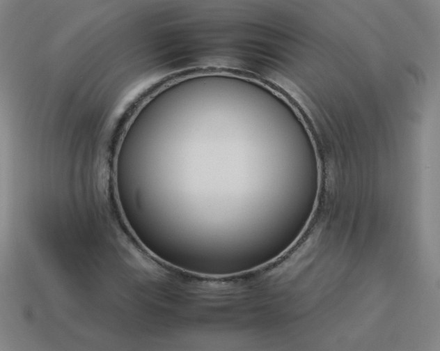 X0000114061115200910191455