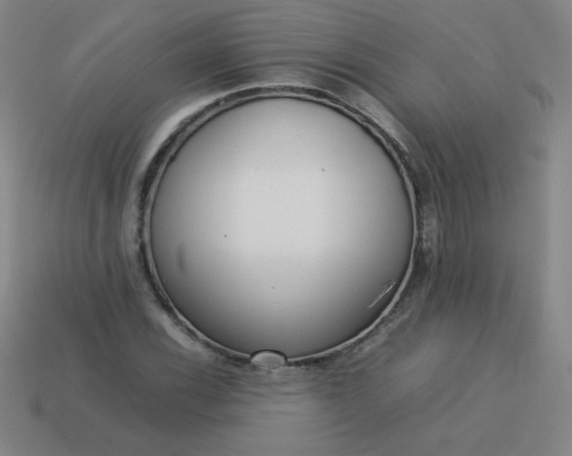 X0000114061116200910191455