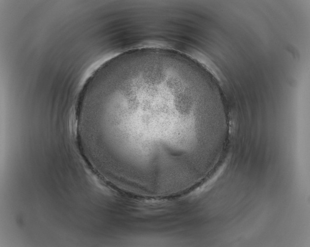 X0000114061117200910191455