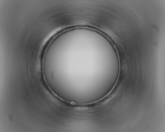 X0000114061118200910191455