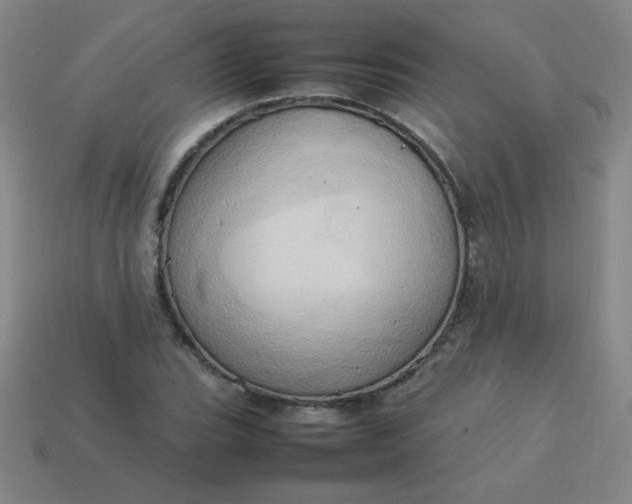 X0000114061119200910191455