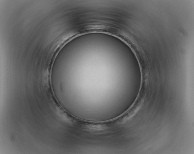 X0000114061121200910191455