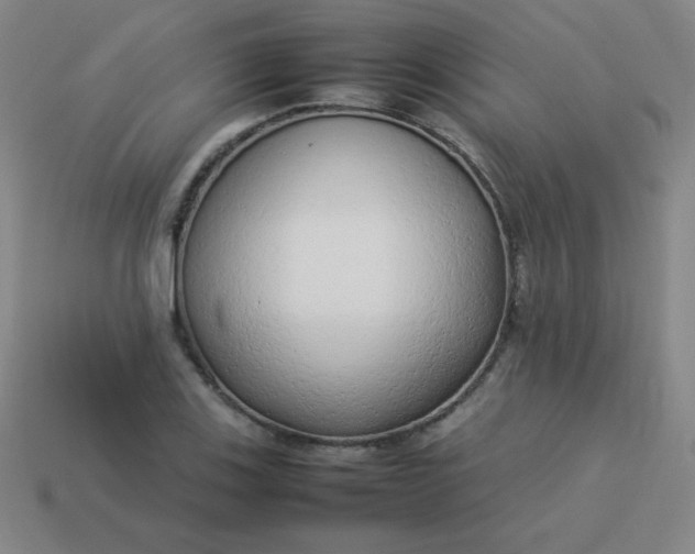 X0000114061123200910191455