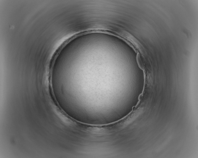 X0000114061124200910191455