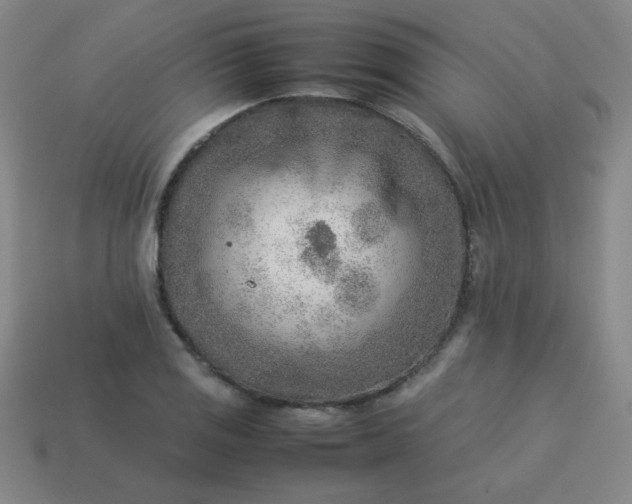 X0000114061125200910191455