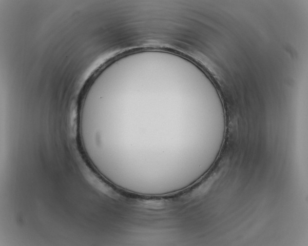 X0000114061126200910191455