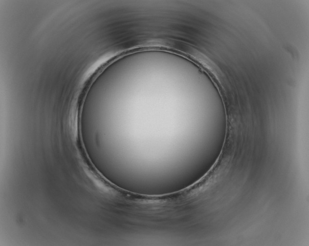 X0000114061127200910191455