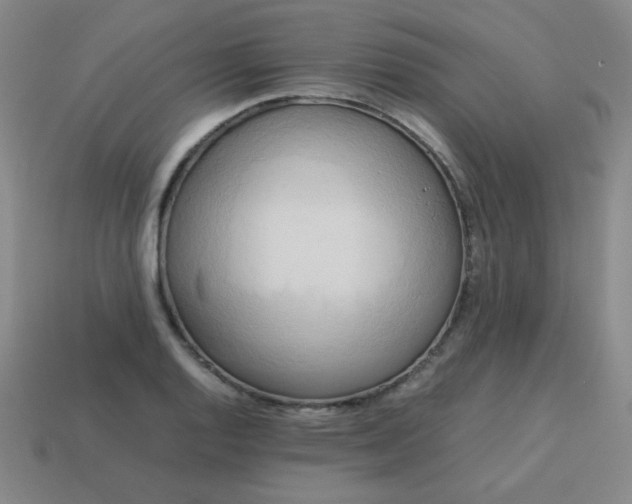 X0000114061128200910191455