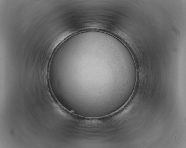 X0000114061129200910191455