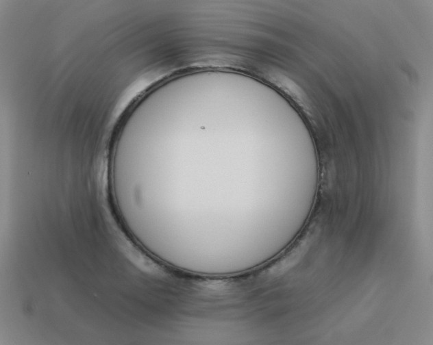 X0000114061130200910191455