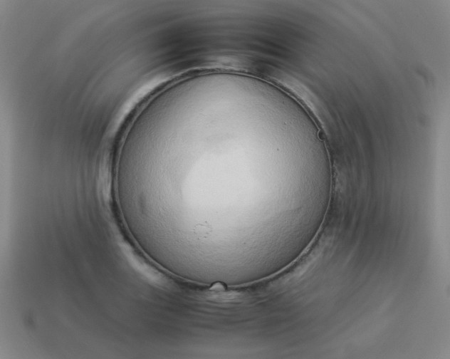 X0000114061131200910191455