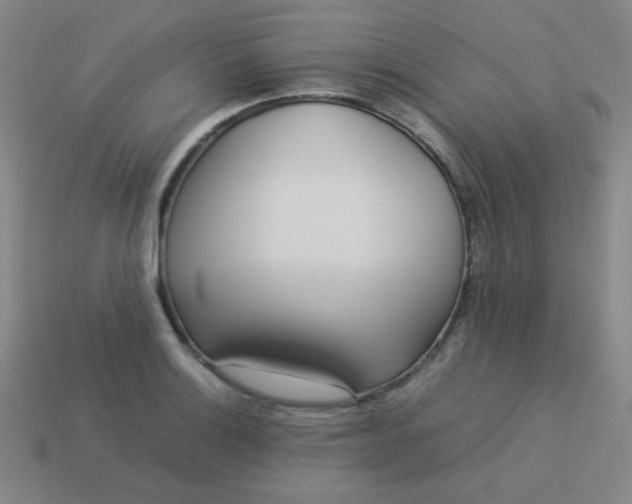 X0000114061132200910191455