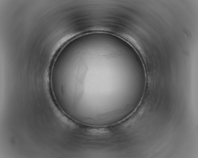 X0000114061133200910191455