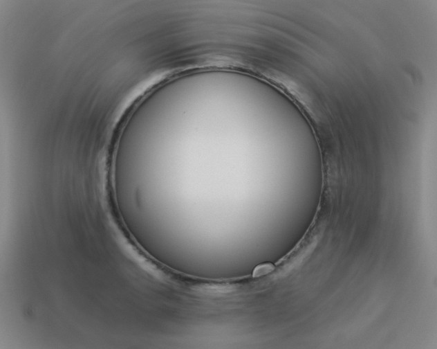 X0000114061134200910191455