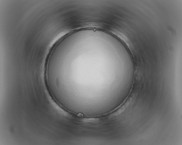 X0000114061135200910191455