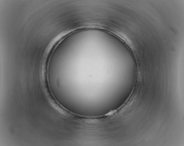 X0000114061136200910191455