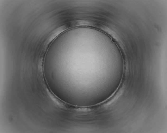 X0000114061137200910191455