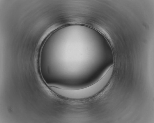 X0000114061138200910191455