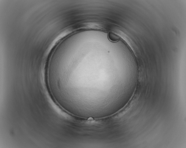 X0000114061139200910191455