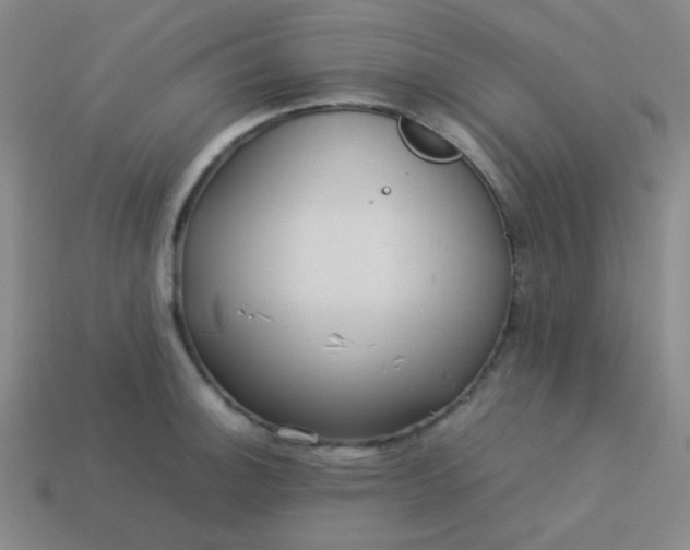 X0000114061140200910191455