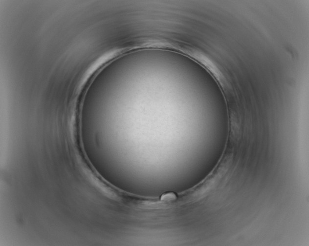 X0000114061142200910191455