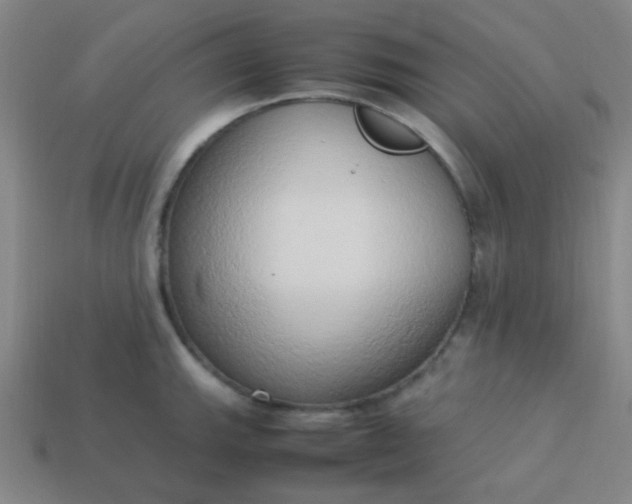 X0000114061143200910191455