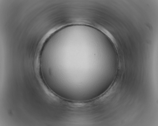 X0000114061144200910191455