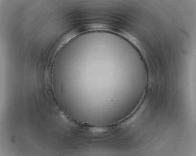 X0000114061145200910191455