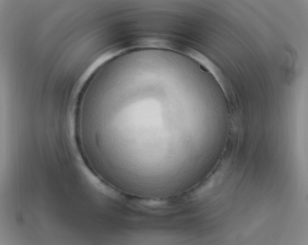 X0000114061147200910191455