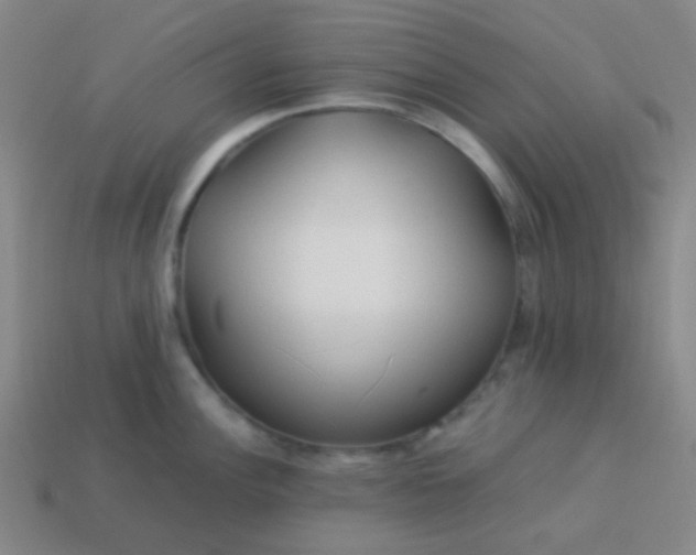 X0000114061148200910191455