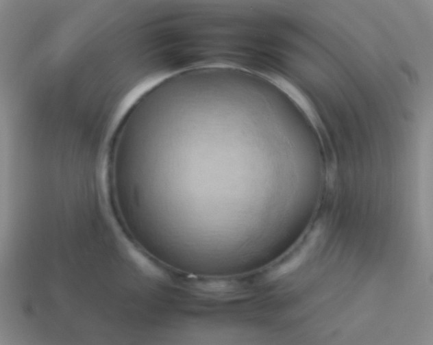 X0000114061149200910191455