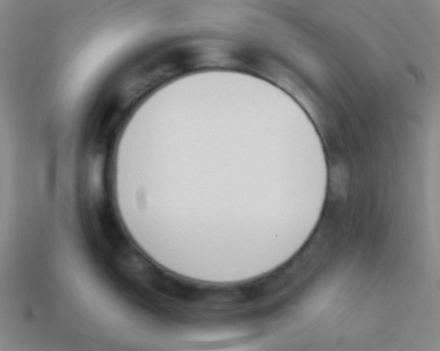 X0000114061150200910191455