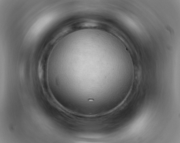 X0000114061151200910191455