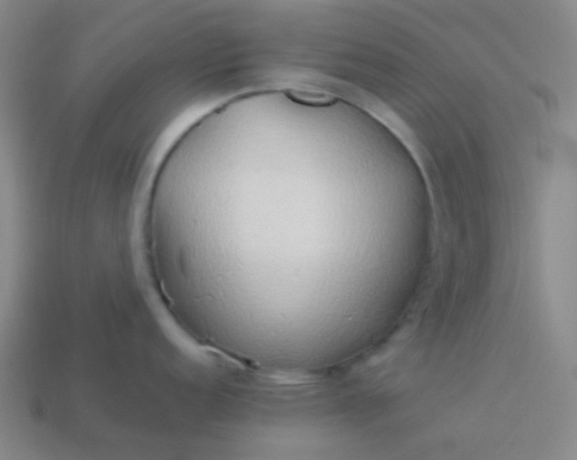 X0000114061152200910191455