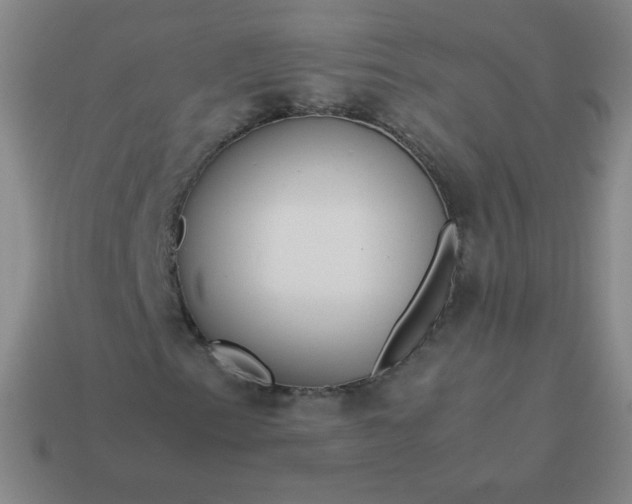 X0000114061153200910191455