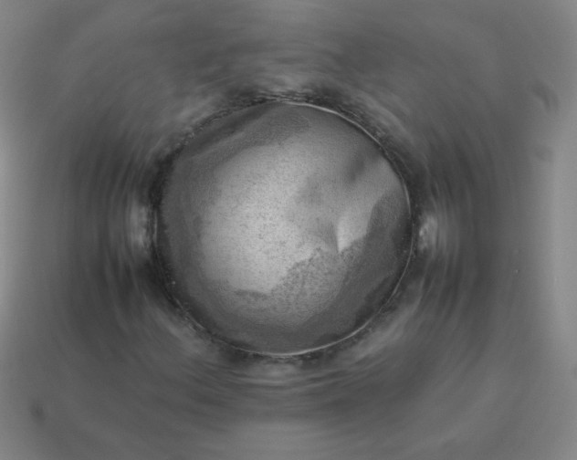 X0000114061156200910191455