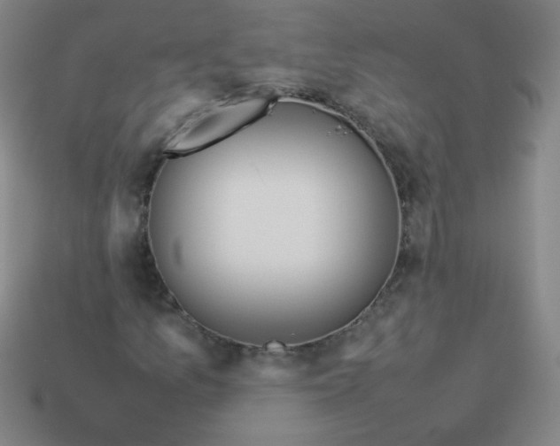 X0000114061157200910191455