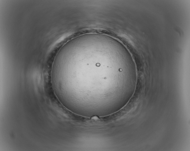 X0000114061159200910191455